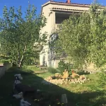 Appartement Stela Rab Town